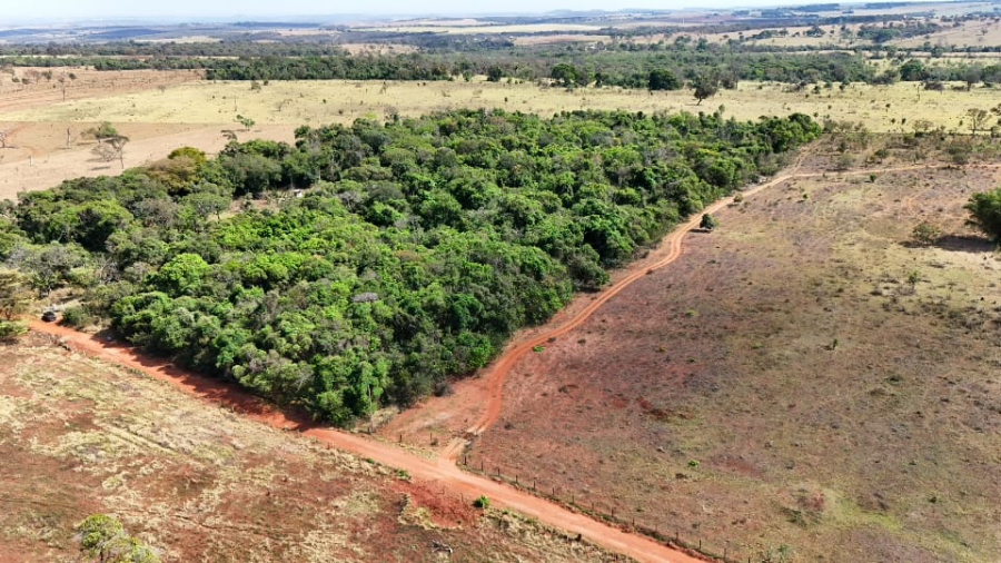 Área rural de 3 hectares em Jaraguari Velho une natureza preservada, localização estratégica e preço acessível